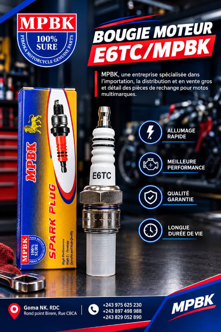 E6TC Bougie Moteurs essence 2T et 4T